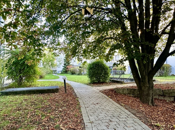 Eingangsbereich mit Grünflächen und Bepflanzung