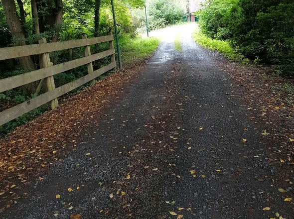  Eingangsbereich - Zaunbeispiel -Ruine