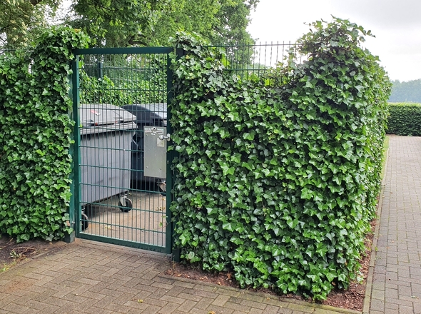 Gut getarnte Müllcontainer