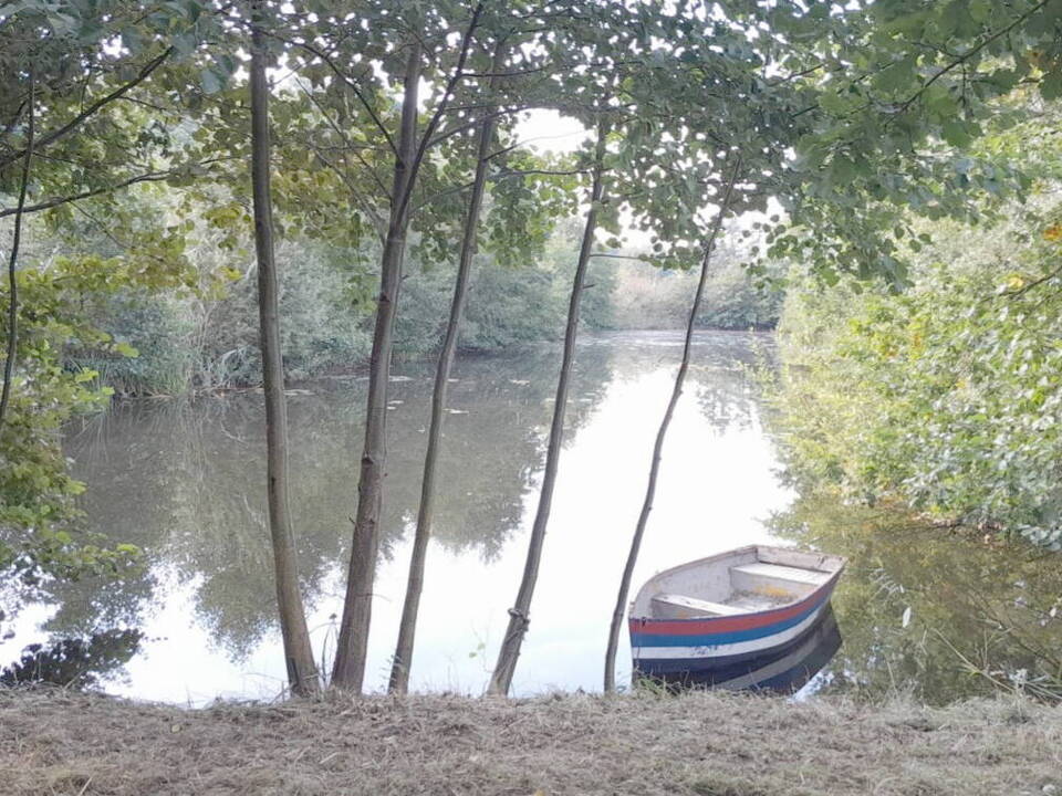 Zu pachtender eigener Teich mit Ruderboot