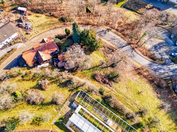 Viel Platz für alle