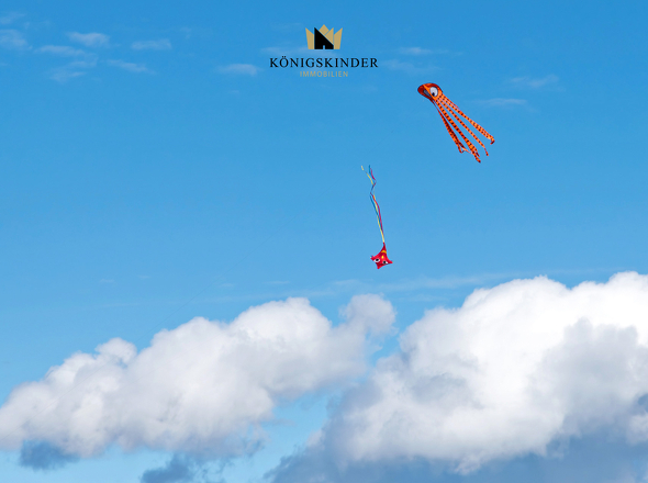 Wiese_gegenüber_DSC5753