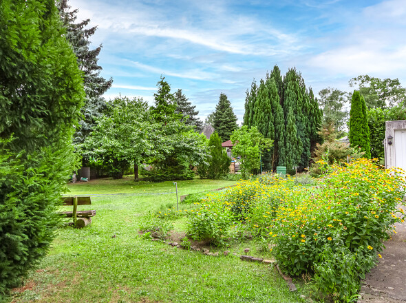 Blick auf das hintere Grundstücksteil