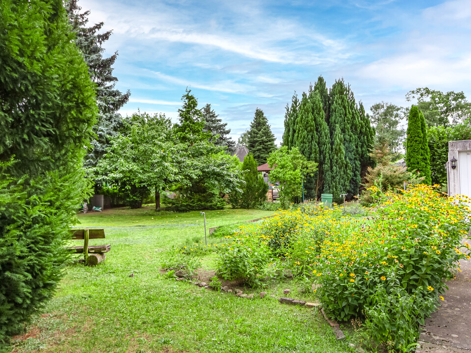Blick auf das hintere Grundstücksteil
