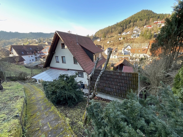 Hausansicht Rückseite mit Gartenhaus