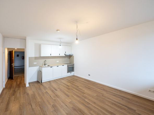 Wohnraum mit Küchenzeile