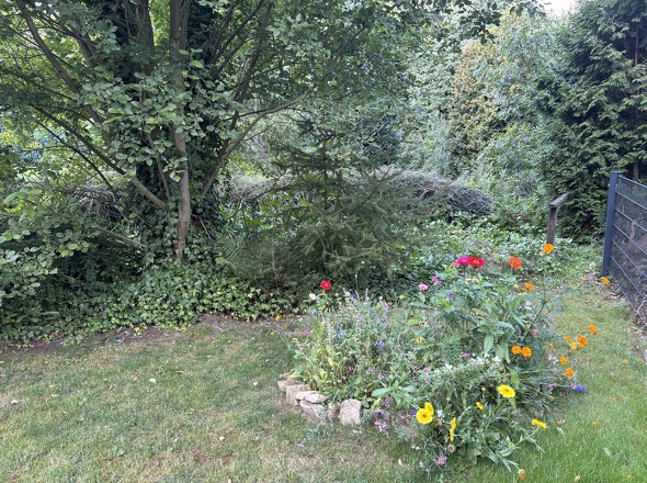 Garten mit Teich