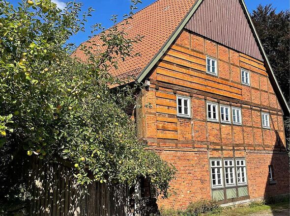 Seitenansicht Sommer