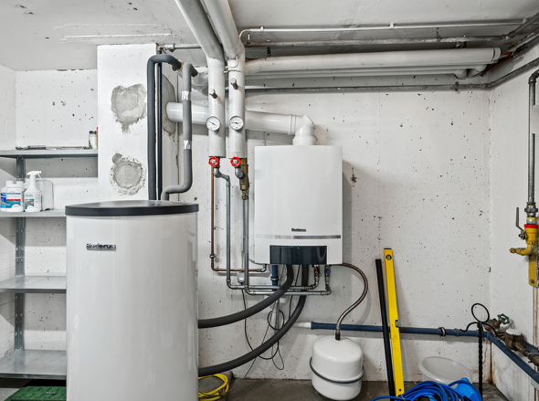 backbone_69854_096_HD