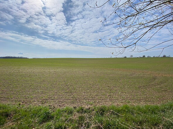 Unverbaubarer Feldblick im Süden