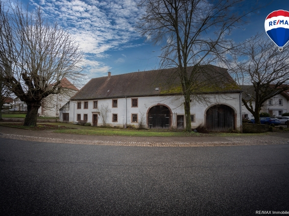 REMAX Immobilien DeLux Einfamilienhaus Frontansicht Blieskastel Mark Matthias Borowicz 