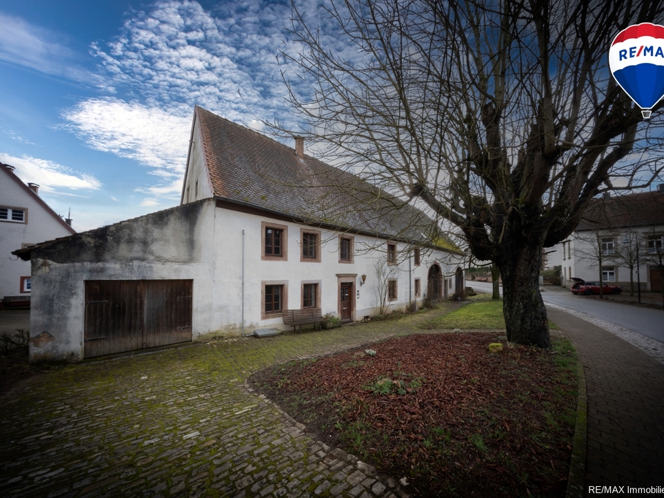 REMAX Immobilien DeLux Einfamilienhaus Frontansicht Blieskastel Mark Matthias Borowicz 
