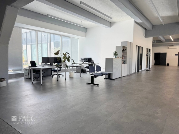 Loft 1_Großraumfläche