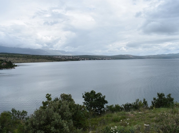 G356 - Panorama Scouting.