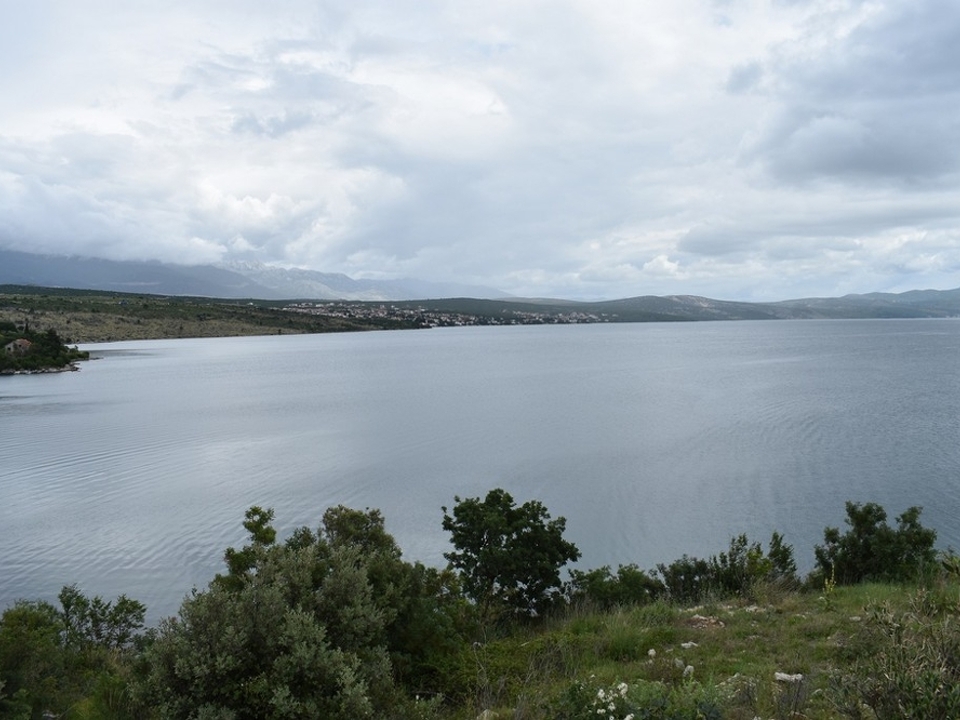 G356 - Panorama Scouting.