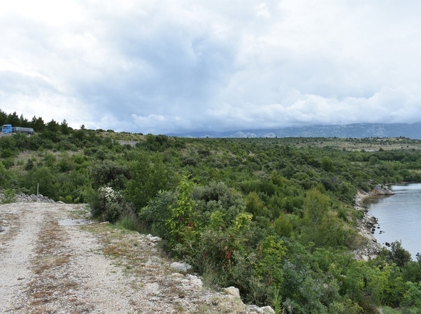 G356 - Panorama Scouting.