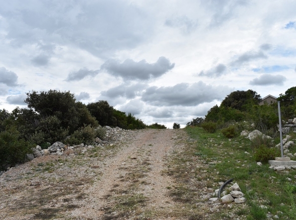 G356 - Panorama Scouting.