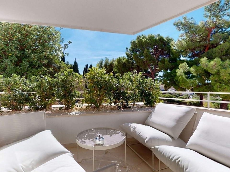 panorama-scouting-A1728-4