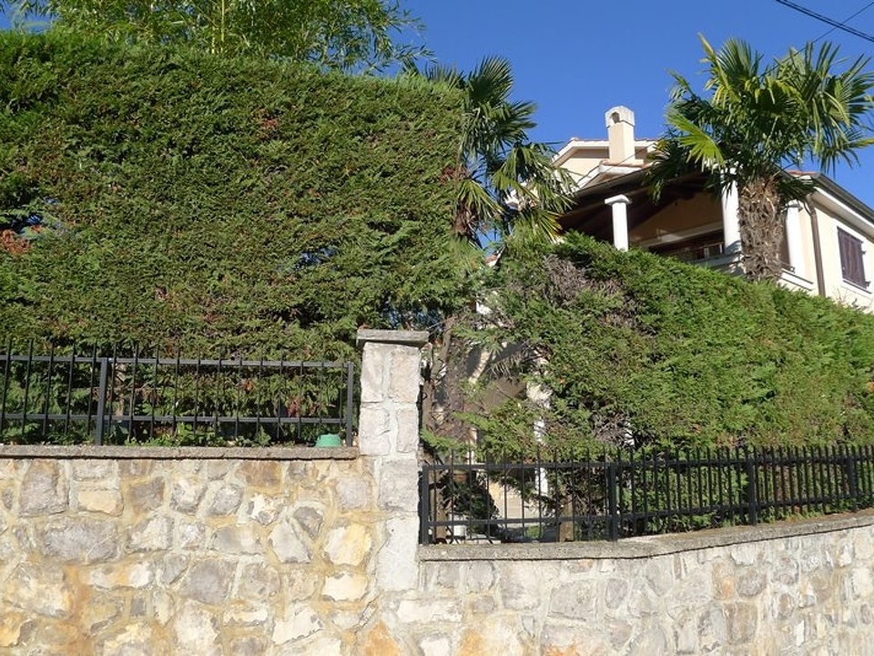 H1679 - Panorama Scouting