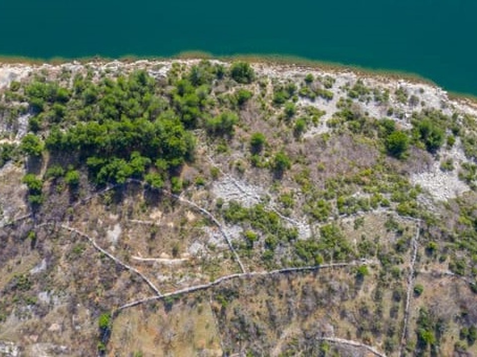 G390 - Panorama Scouting