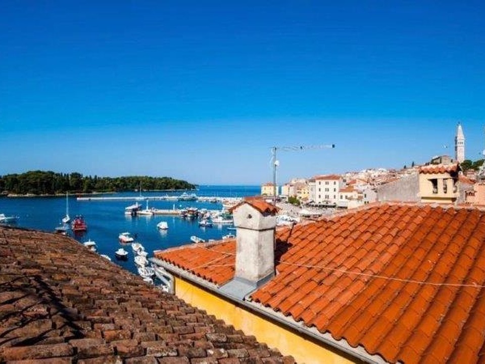 H1763 - Panorama Scouting