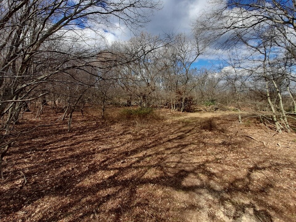 Immobilien Kroatien - Panorama Scouting G408 - 2