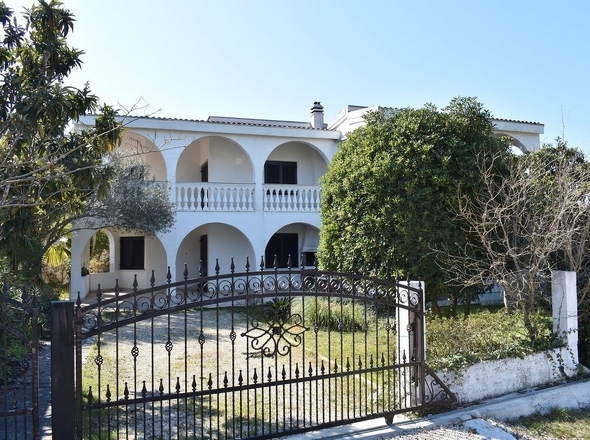 Immobilien Kroatien - Panorama Scouting H2133 - 3