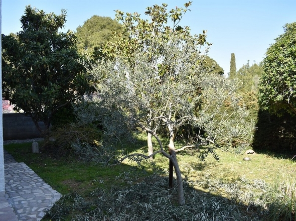 Immobilien Kroatien - Panorama Scouting H2133 - 16