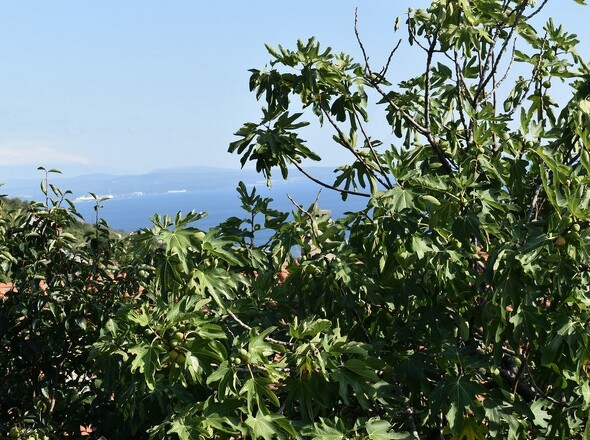 Immobilien Kroatien - Panorama Scouting H2263 - 5