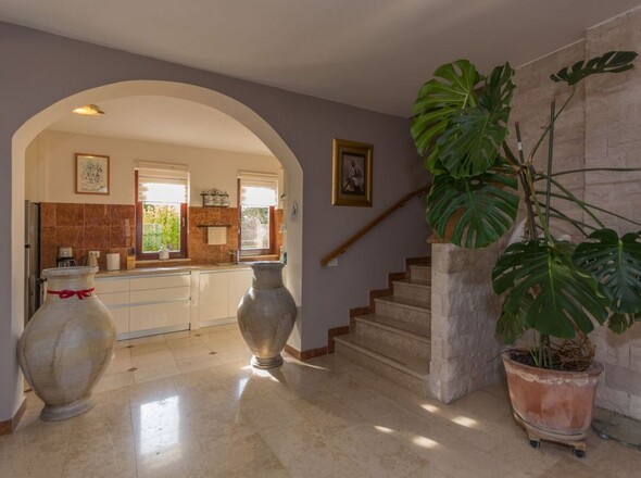 panorama-scouting-H2272-1