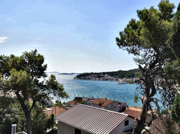 Panorama-Scouting-H2295-19