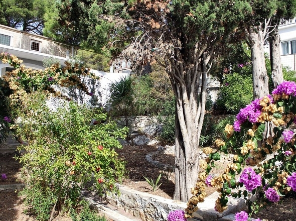 Panorama-Scouting-H2295-3