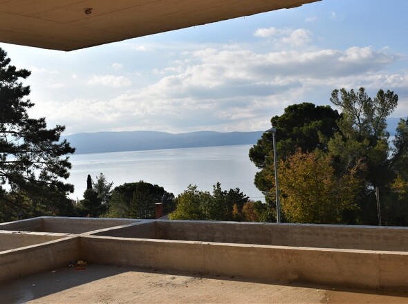 panorama-scouting-H2363-16