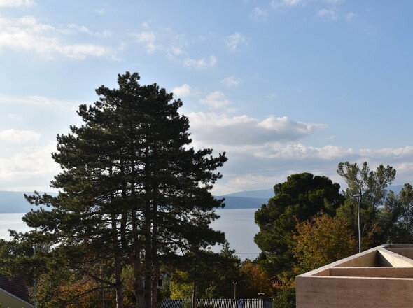 panorama-scouting-H2363-5