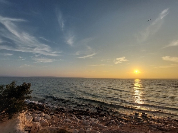 panorama-scouting-A2686-4