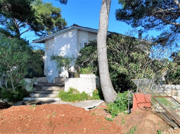 panorama-scouting-G413-3