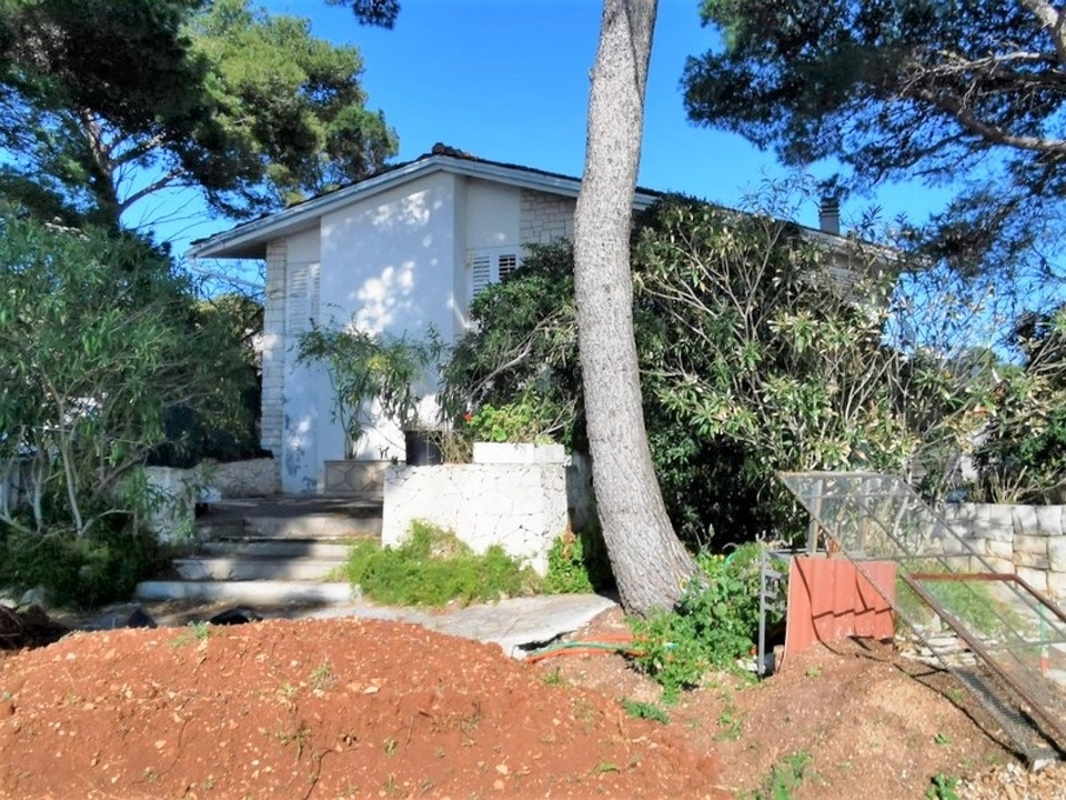 panorama-scouting-G413-3