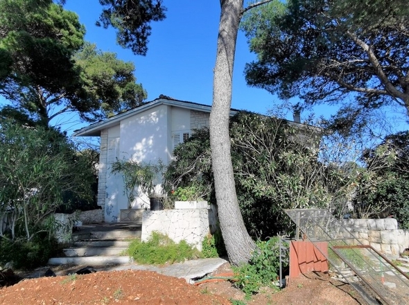 panorama-scouting-G413-2