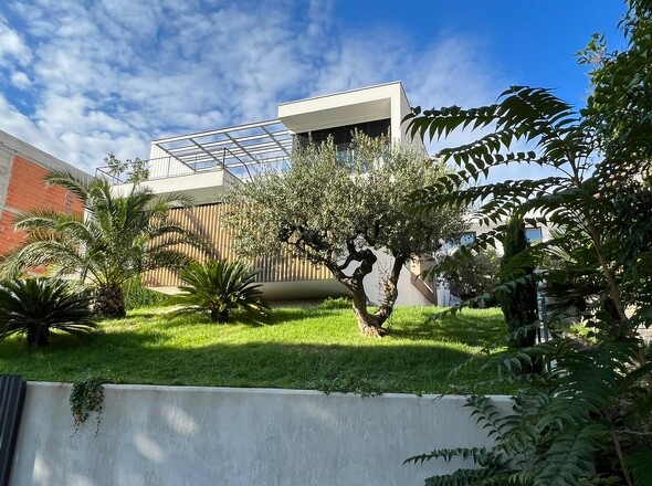 panorama-scouting-H2383-34