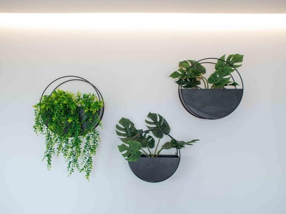 panorama-scouting-A2758_6