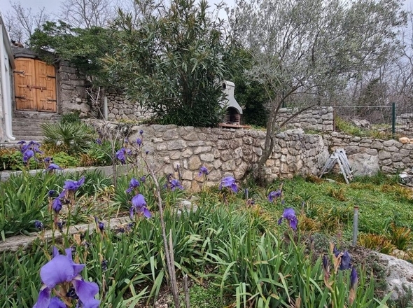 panorama-scouting-H2461_13