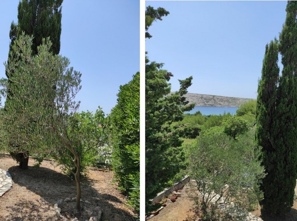 panorama-scouting-H2481-5