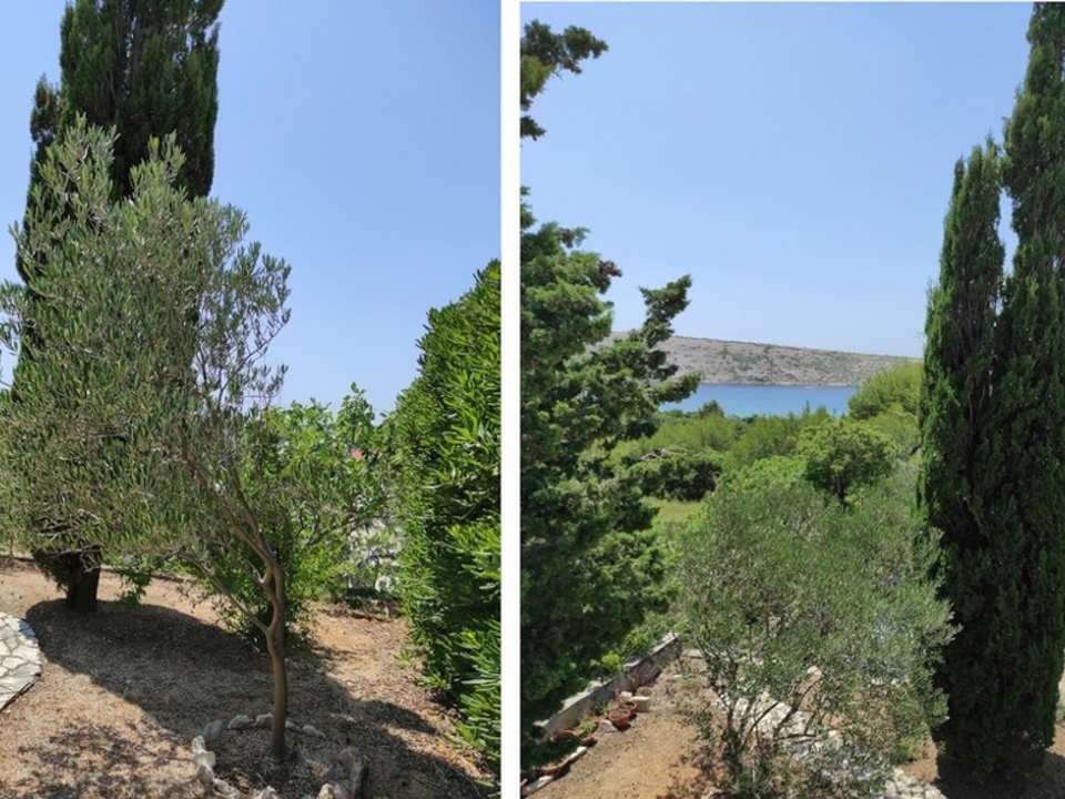 panorama-scouting-H2481-5