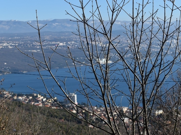 panorama-scouting-H2482-5