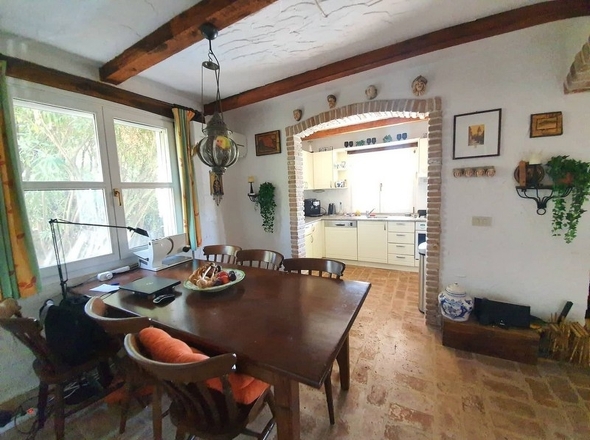 panorama-scouting-H24876