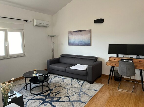 panorama-scouting-A2803-28