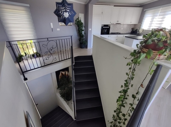 panorama-scouting-H2498-4