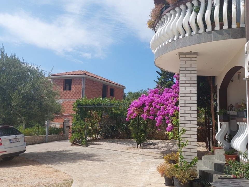 panorama-scouting-H251927