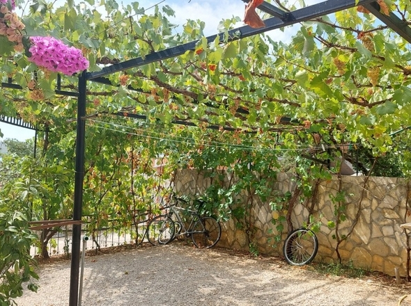 panorama-scouting-H252028