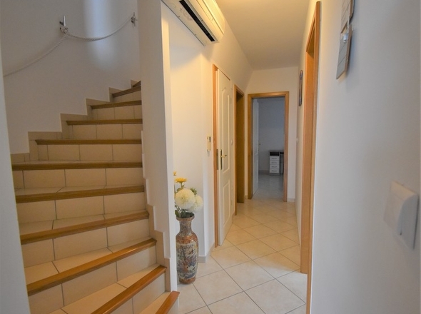 panorama-scouting-H2556-38